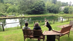 Two people sitting on a bench overlooking a pond with ducks and a dog standing on its hind legs. - Relaxing Holidays in the Old Water Mill at Cwmiar (Llanybydder)
