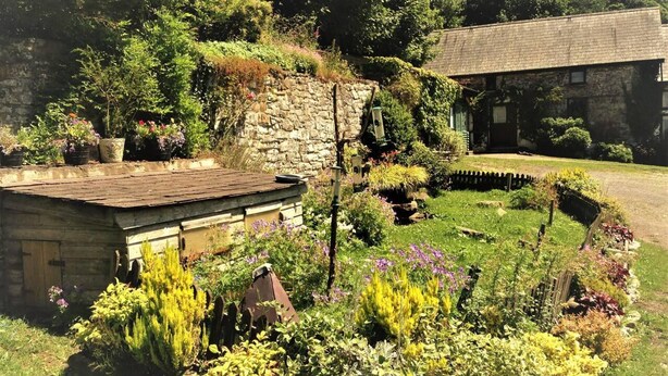 Un jardín con diversas plantas y un muro de piedra.