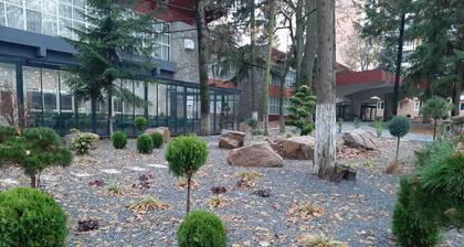 Hotel Padis