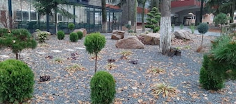 Hotel Padis