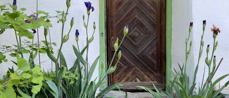 A rustic wooden door with a chevron pattern, set in a white wall with green trim.