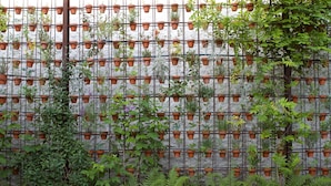 A vertical garden with a variety of plants in terracotta pots, arranged on a metal grid against a stone wall. - Viscri 9 (Bunesti)