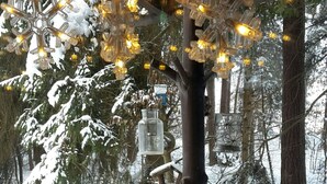 A wooden table set with glassware and pine branches, surrounded by snow-covered trees and a wooden structure with hanging lights. - Bungalow directly at the lake, with own boat (Neubäu / Roding)