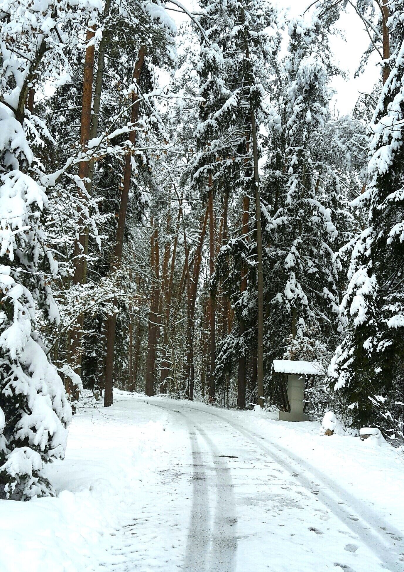 Overnatningsstedets område