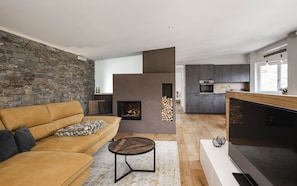 TV connectée, cheminée, chaîne hi-fi