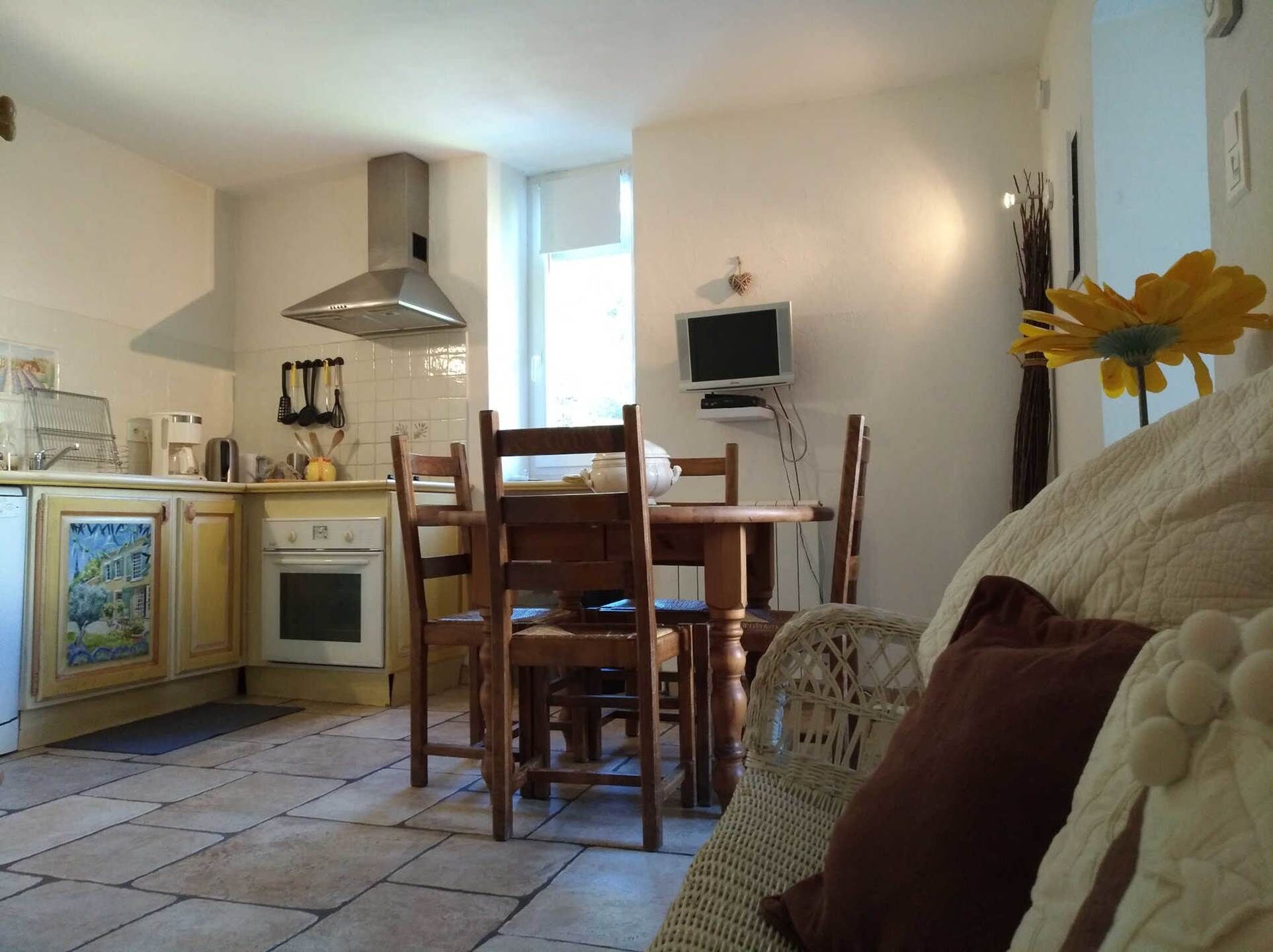 A compact kitchen with a stove, oven, and a chimney. There is a dining table with chairs, a TV mounted on the wall, and a decorative plant.