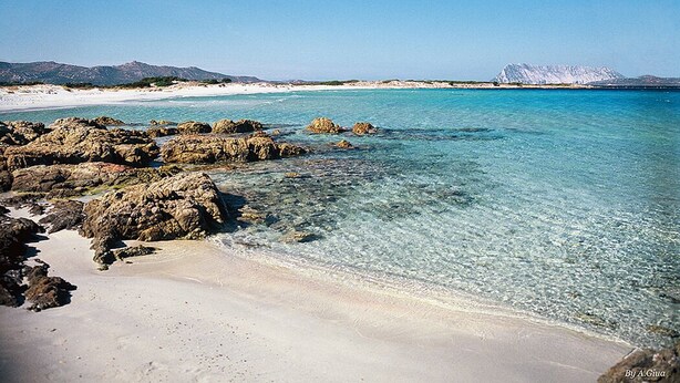 Beach - Apt. Liscia 1A with shared Swimming Pool (San Teodoro)