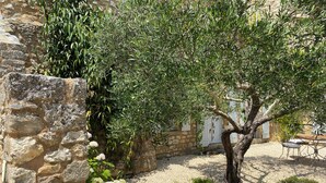 Muro de piedra con plantas trepadoras y un árbol en un patio.
