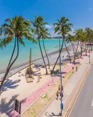 Una playa con un camino para peatones, palmeras y un cielo azul despejado.