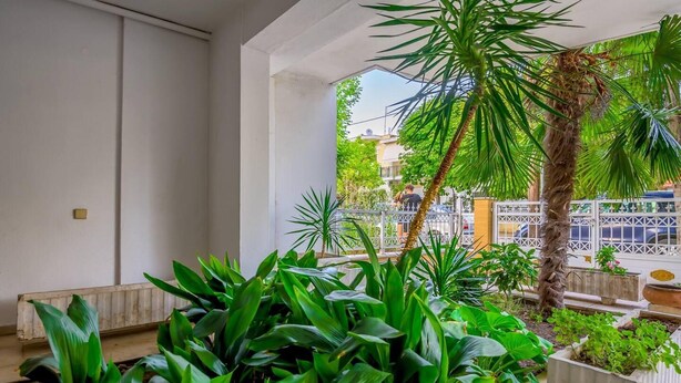 Un balcón con abundante vegetación, una palmera y vista a una zona residencial con cerca blanca y coches aparcados.