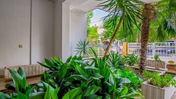 Studio | Property grounds