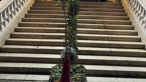 A grand staircase leading to a building entrance with ornate railings and a central plant. - Asia Grand Museum & Pyramids View (Giza)
