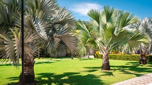 Een goed onderhouden tuin met palmbomen en een geplaveid pad.