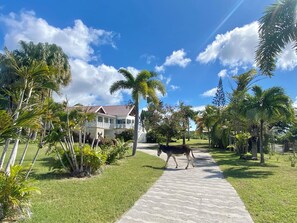 Terrein van de accommodatie