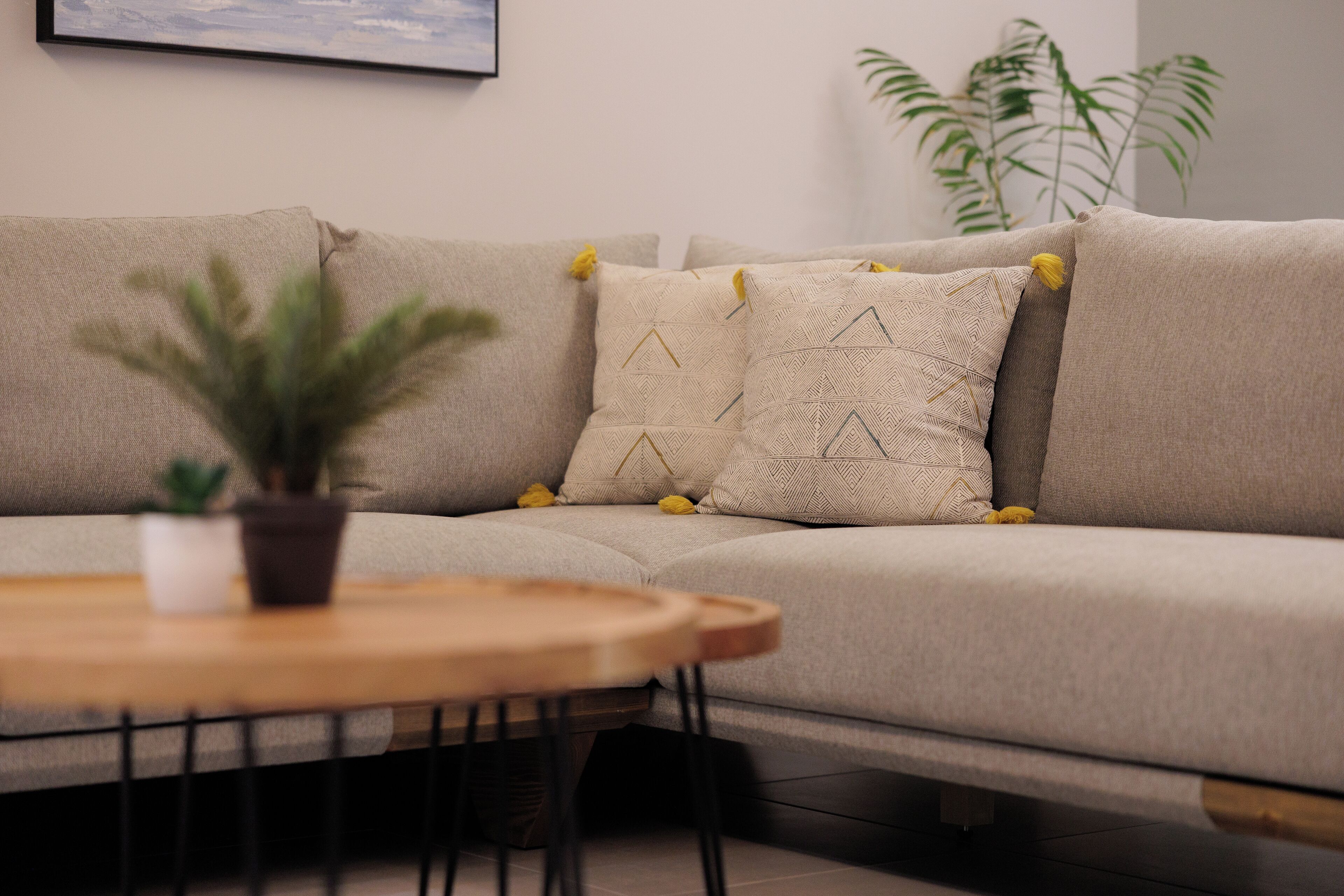 A modern living room with a beige sofa, patterned cushions, a small round wooden table, and a potted plant.