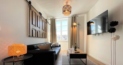 GĂźte Ă PYRĂNĂES spacieux et confortable quartier historique Oloron Sainte Marie