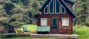 Cozy Couples cabin, hikers delight, epic Mountain View