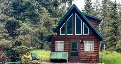 Cozy Couples cabin, hikers delight, epic Mountain View