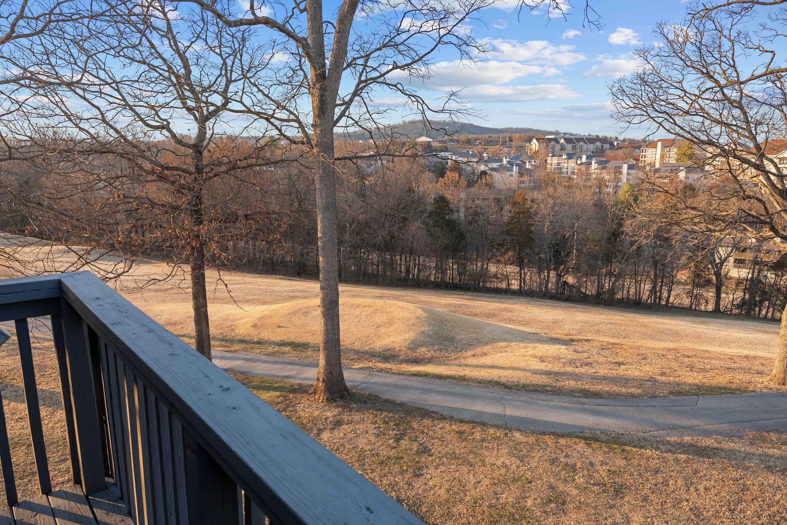 A view from a balcony overlooking a park with a dirt path, trees, and a residential area in the background.