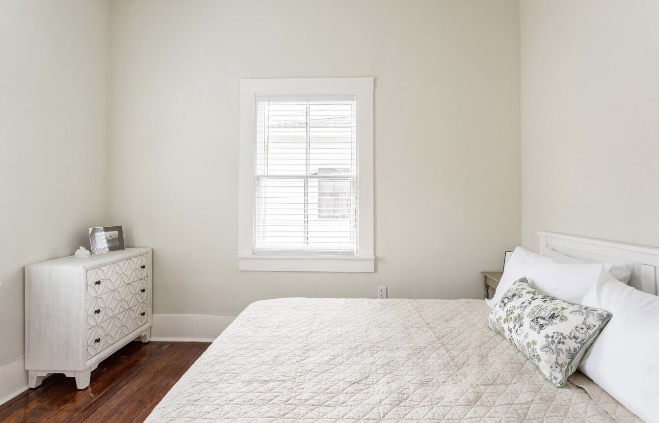 The Aster *Recently updated (Message for openings)