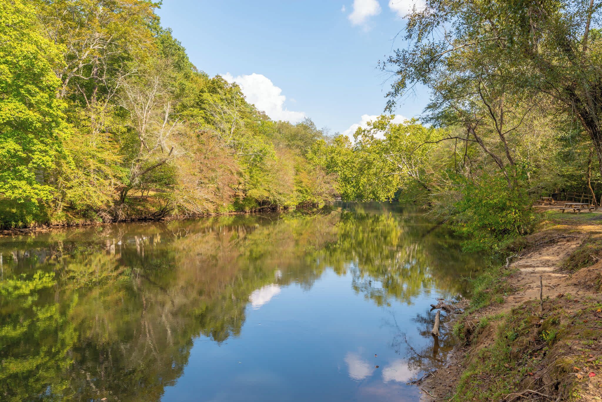 A serene river surrounded by lush greenery and trees.