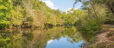A serene river surrounded by lush greenery and trees.