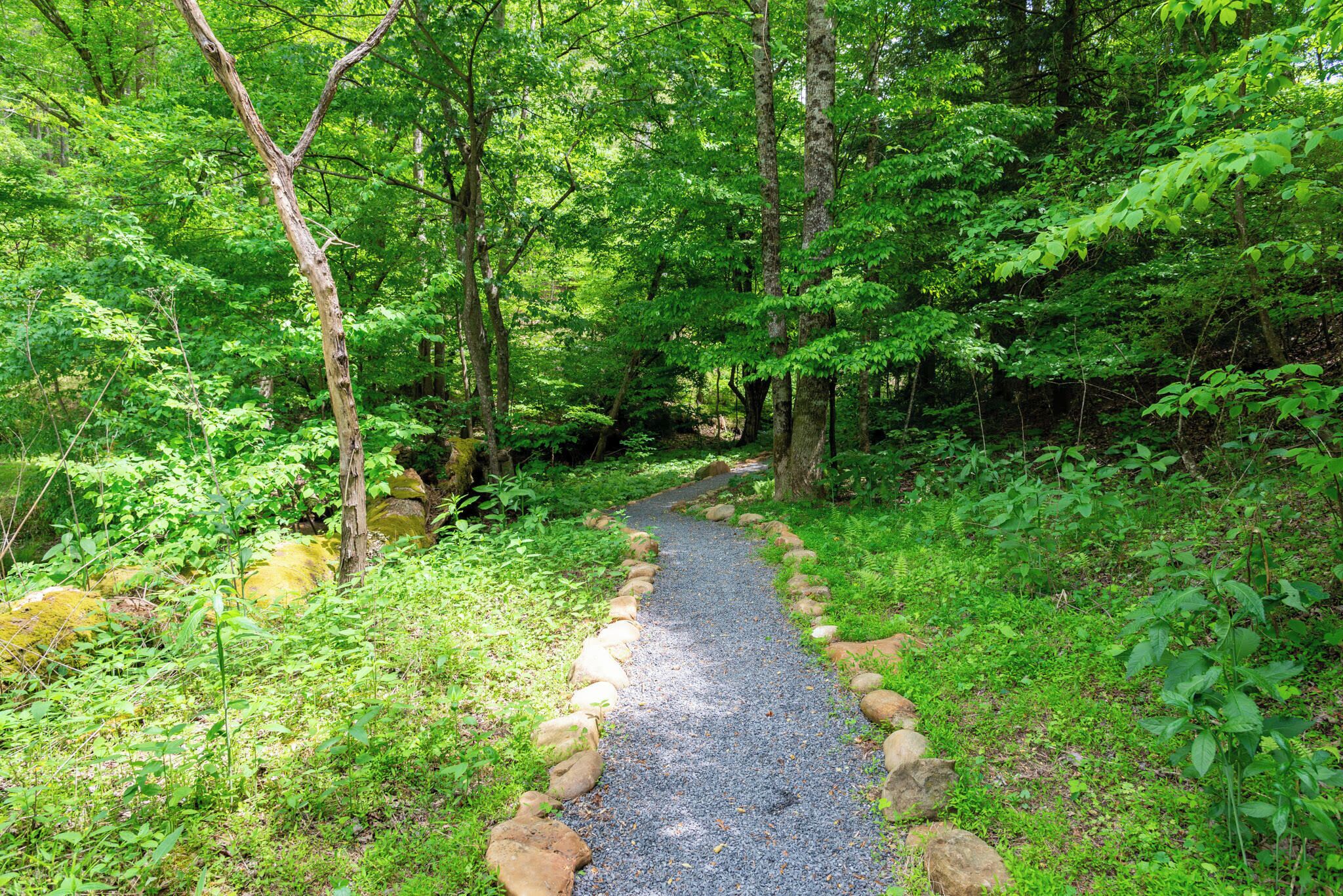 Ein Kiesweg, umgeben von üppigem Grün und Bäumen.