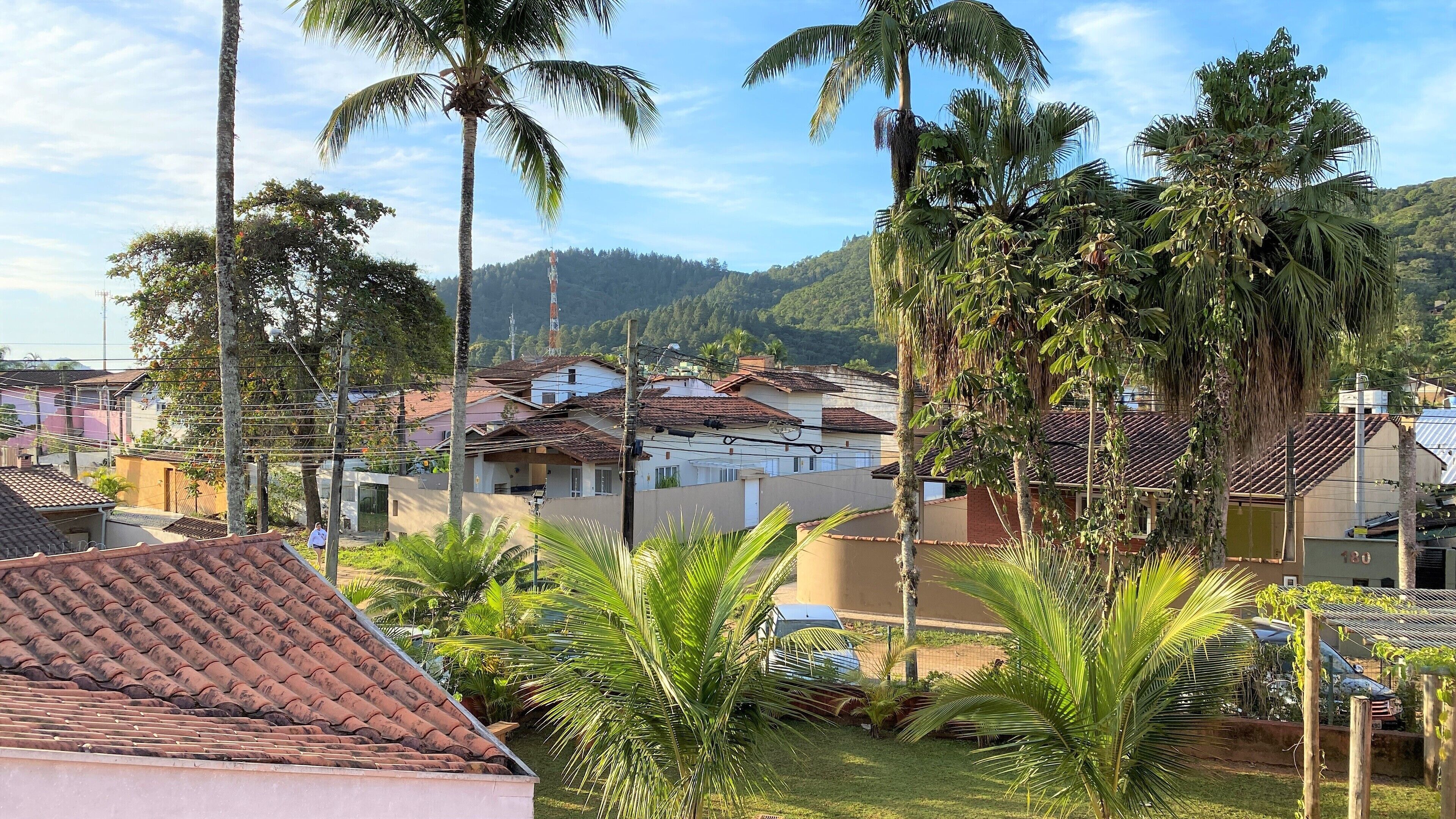 A residential area with houses, palm trees, and a hilly landscape in the background.
