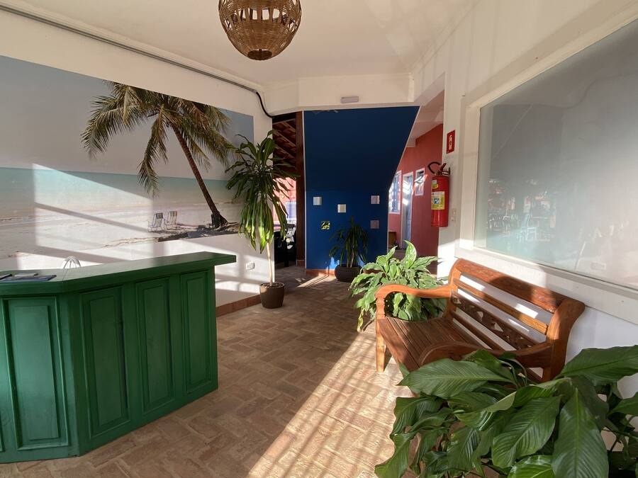 Un área de recepción con mostrador verde, banca de madera y plantas en macetas.