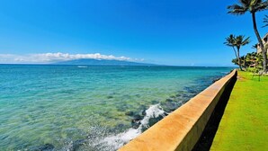 A clear view of a beach with a concrete barrier, palm trees, and a distant mountain.