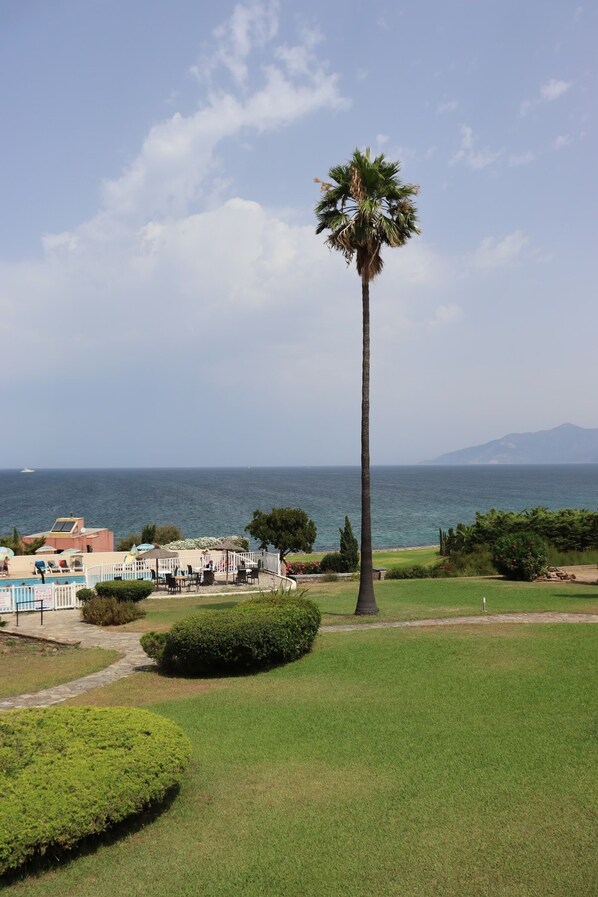 A palm tree, a pool, and a view of the sea. - Hotel Le Bellevue (Saint-Florent)