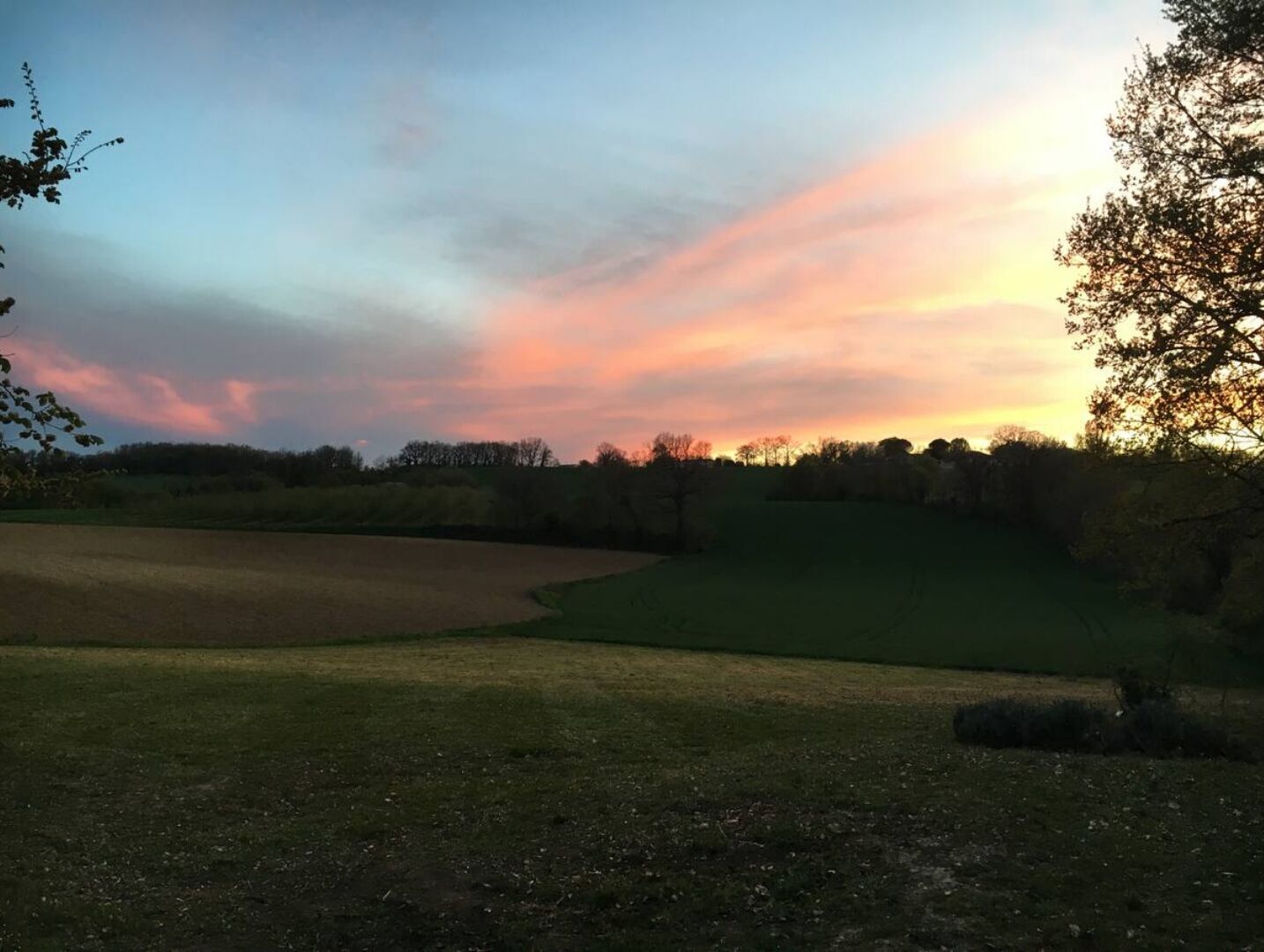 Un campo da golf al tramonto con campi aperti e alberi sullo sfondo.