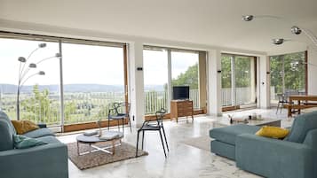 Télévision, cheminée, baby-foot, table de tennis de table