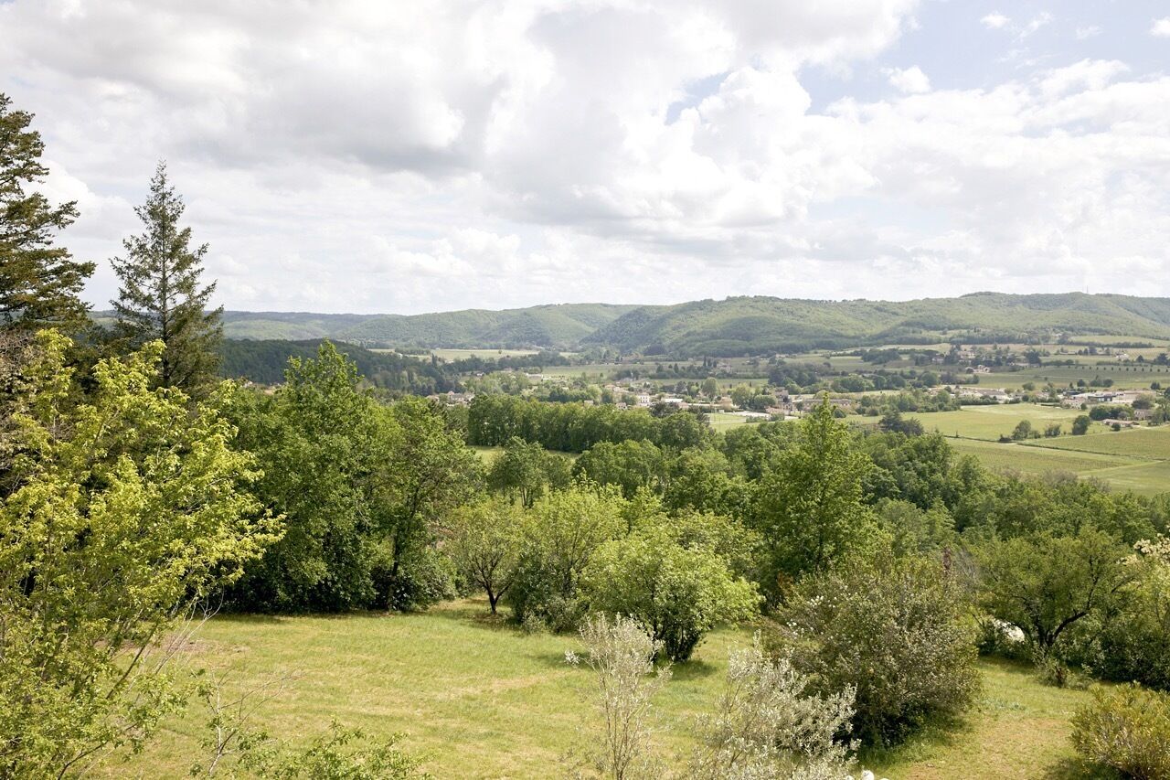 A rural landscape with rolling hills, a variety of trees, and a distant village.