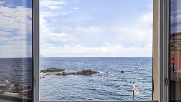 Apartment, 1 Bedroom | View from room