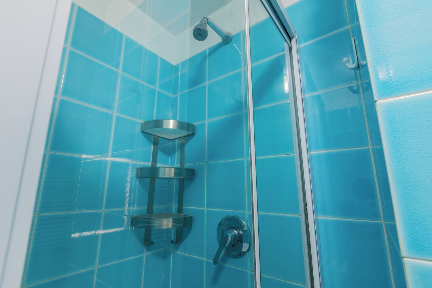 A shower with a glass door and a metal showerhead.