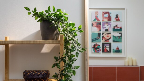 A wooden shelf with a potted plant and a woven bag. - Rosso E Blu Di San Salvario By Wonderful Italy (Turin)