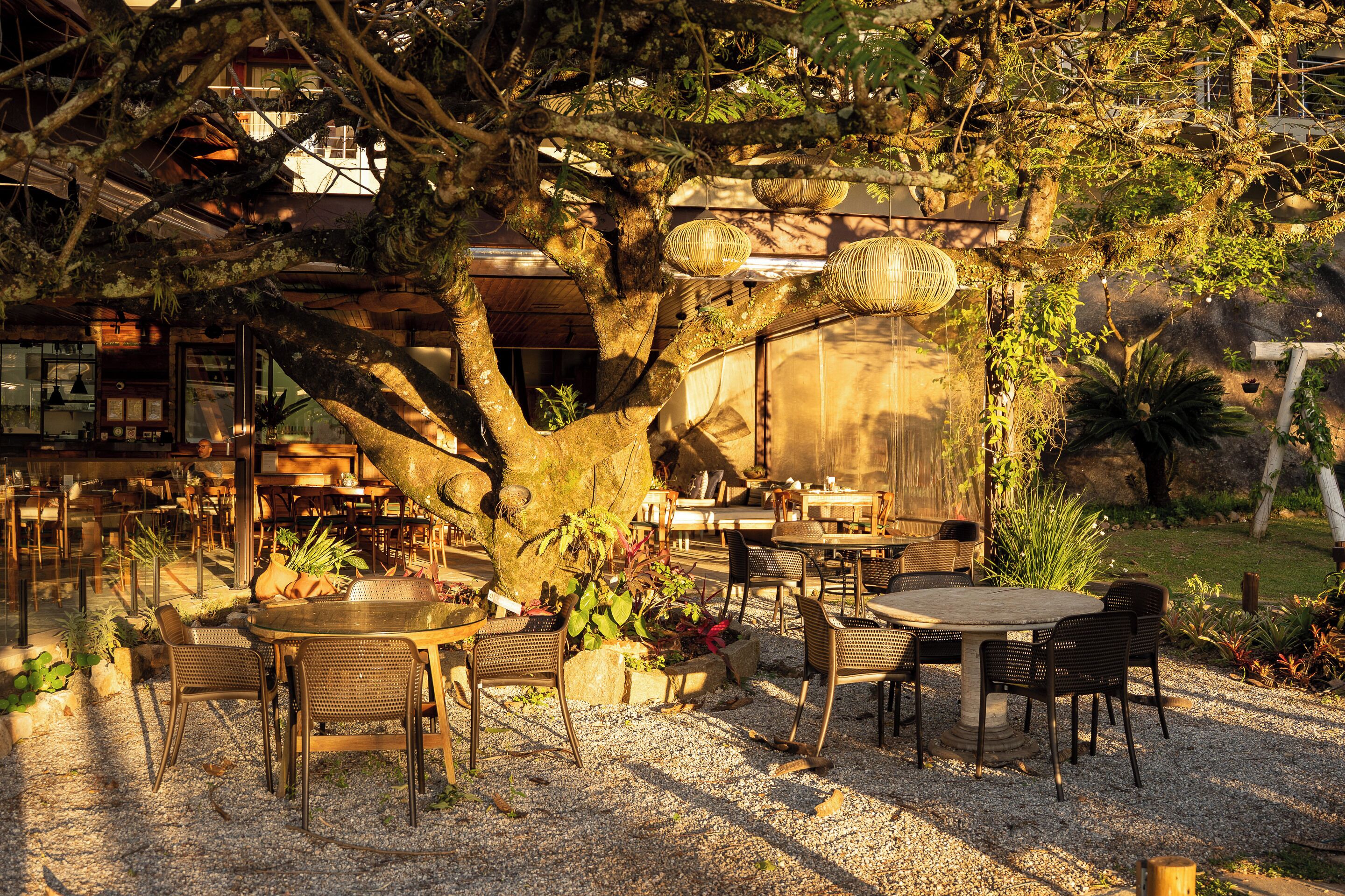 Café da manhã, almoço e jantar