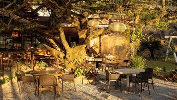 Café da manhã, almoço e jantar