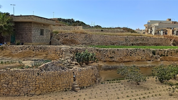 A rural landscape with stone walls, a palm tree, and a small water body. - Marsalforn flat near beach and boulevard (Zebbug)