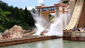 A water slide with a bridge structure, surrounded by greenery.