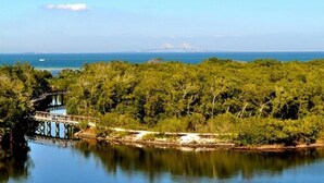 A coastal area with a bridge, dense greenery, and a calm body of water.