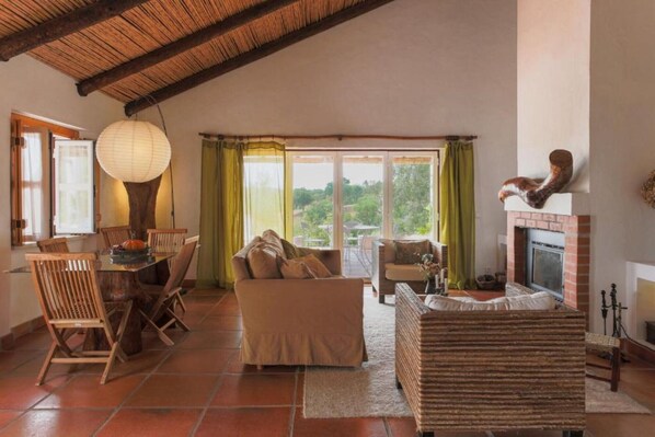 Televisio, takka, kirjoja