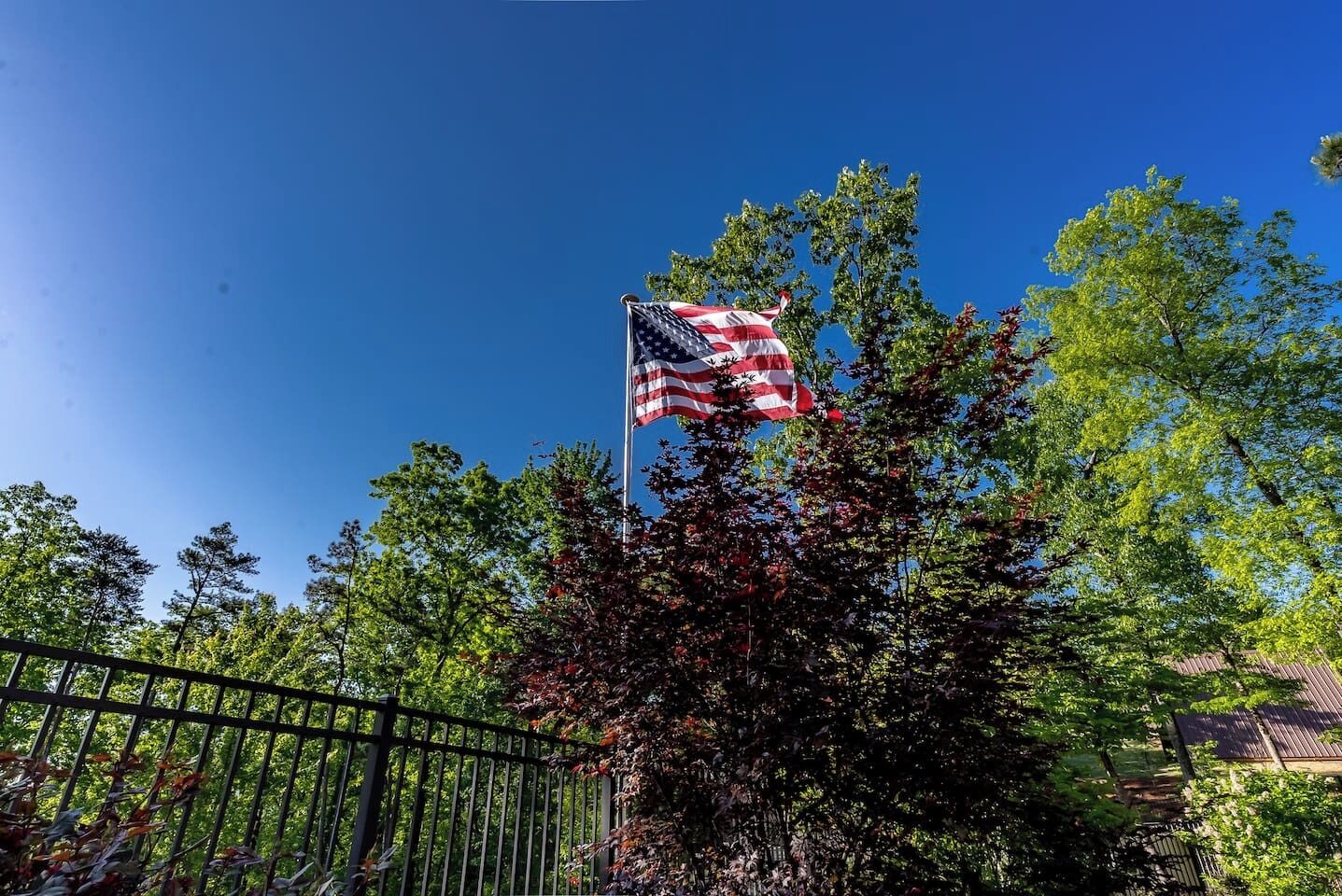 Una bandera estadounidense en un asta, rodeada de árboles y una valla metálica.