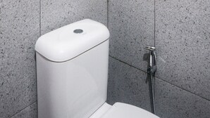 Un petit espace douche fermé, avec des toilettes blanches et une douchette à main.