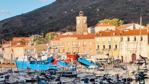 Puerto deportivo con barcos amarrados, una torre del reloj y edificios con señalización.