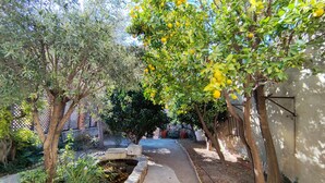 Un jardín con un sendero, árboles y una pequeña fuente.