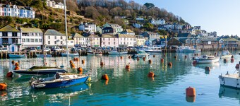 Cobble - Cornish Stone Cottage on the edge Cardinham Woods & Bodmin Moor