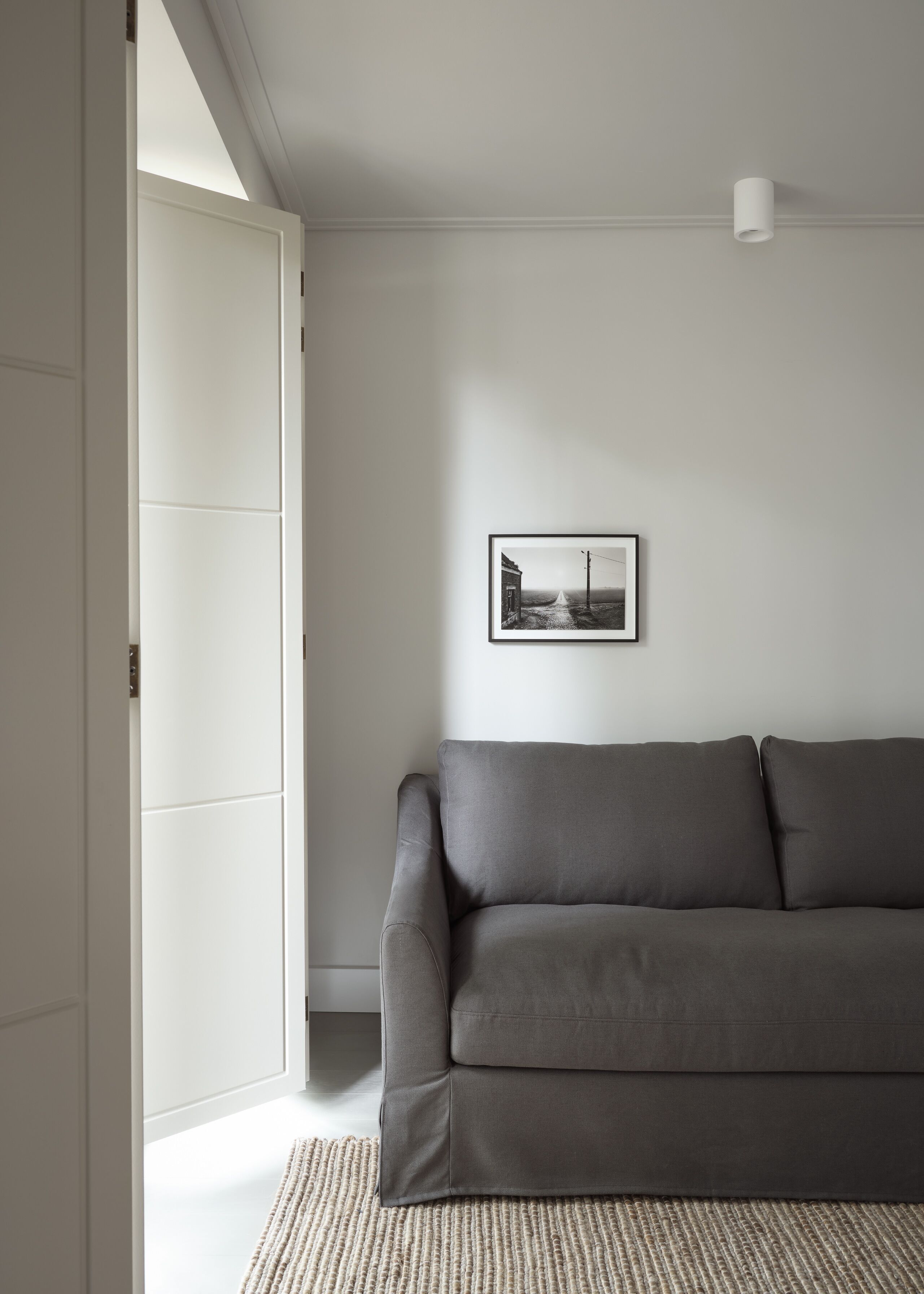 A modern living room with a grey sofa, a framed picture on the wall, and a white door.