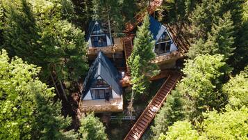 Ein Baumhauskomplex mit mehreren Ebenen, hölzernen Treppen und einer naturbelassenen Waldumgebung.